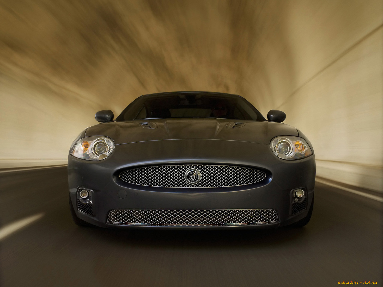 , jaguar